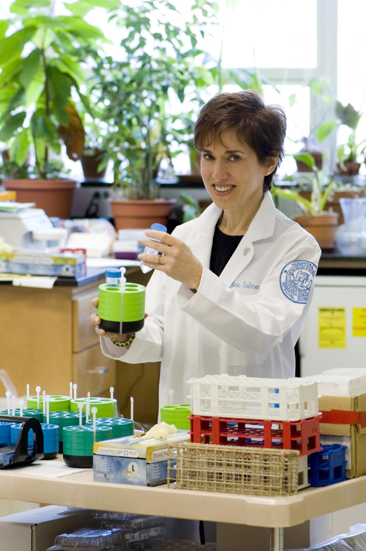 Jane E. Salmon, Hospital for Special Surgery