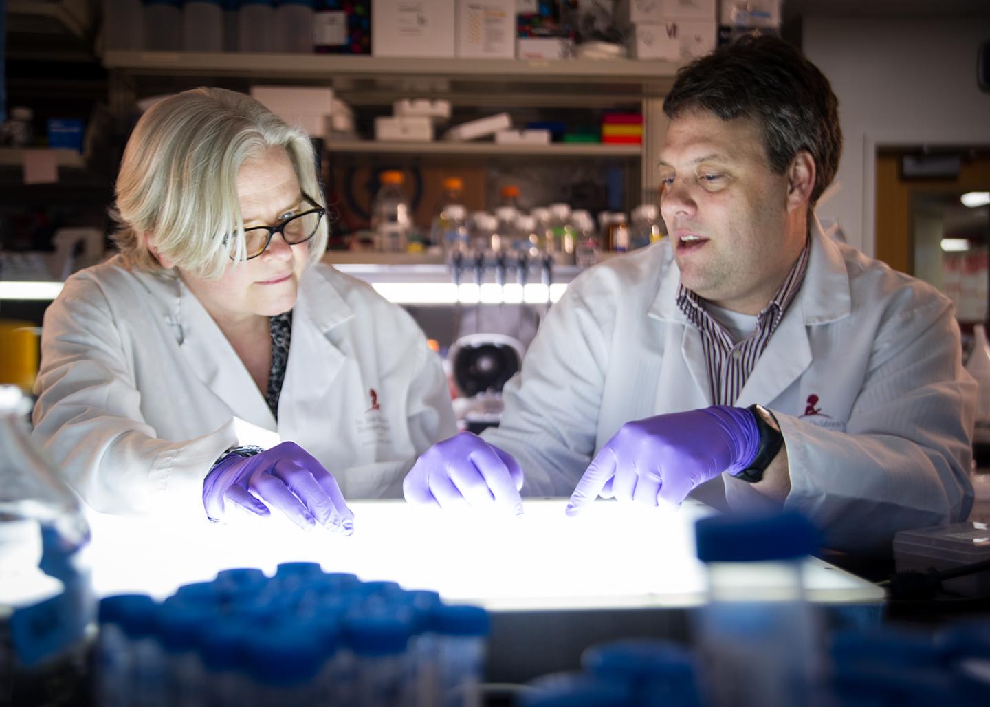 Tracking Defects Caused By Brain Tumor Mutation Yields Insight To Advance Targeted Therapy