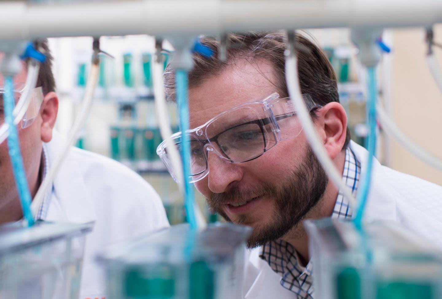 Thomas Sharpton, Oregon State University (2 of 2)