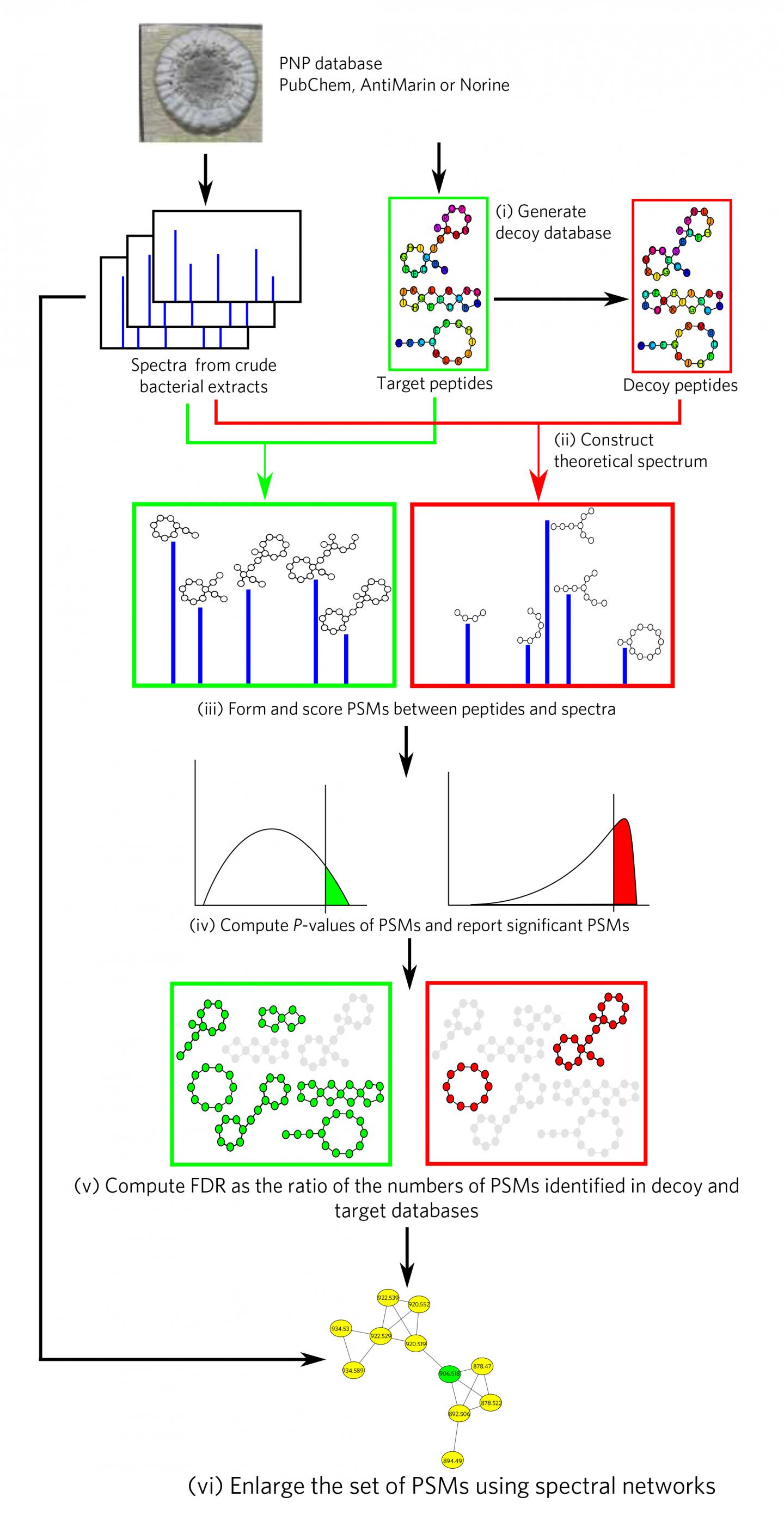 The Dereplicator Pipeline