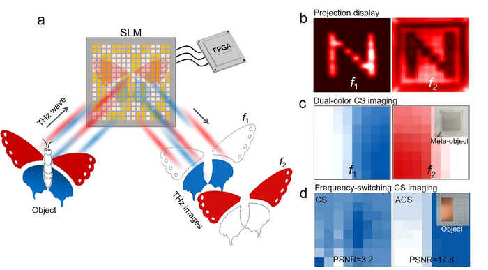 Working principle of the liquid crystal THz SLM