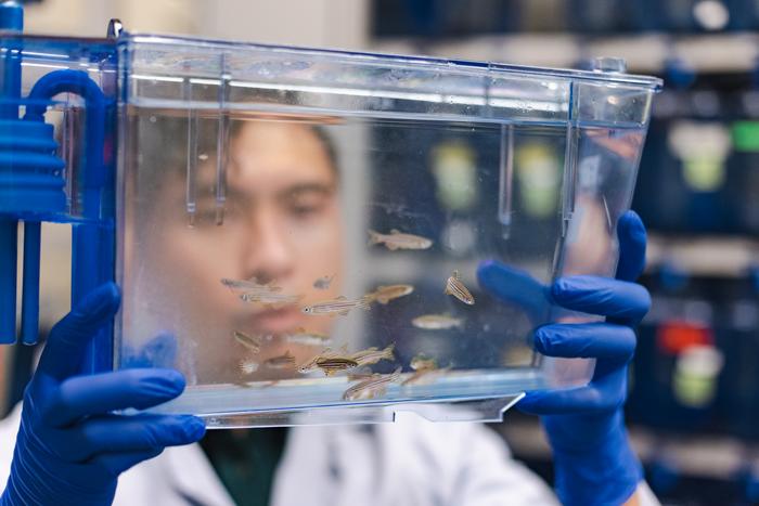 Dr. P.C. Dave P. Dingal, The University of Texas at Dallas