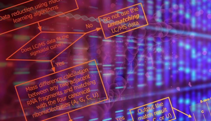 Flowchart for RNA Sequencing
