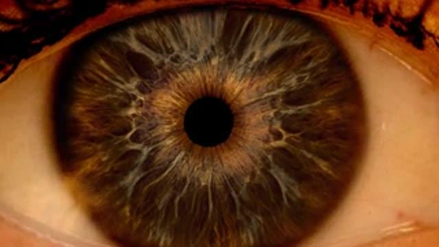 Detecting Diabetic Retinopathy through a Dilated Eye Exam