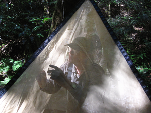 Late ecologist Larry Serpa on a collection trip