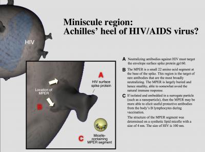 Miniscule Region: Achilles' Heel for HIV/AIDS Virus?