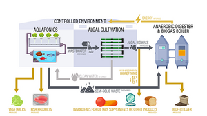 Integrated Aquaponics System