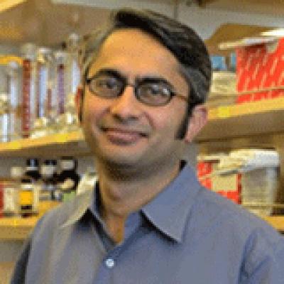 Nirao Shah, M.D., Ph.D., University of California - San Francisco