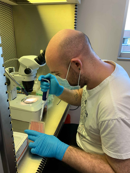 Single neural rosettes