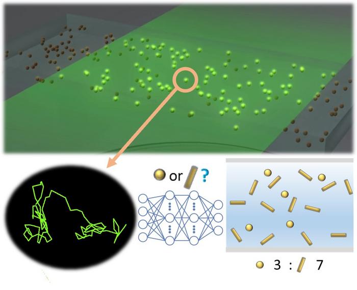 Scheme of shape prediction of nanoparticles using NTA + deep learning analysis
