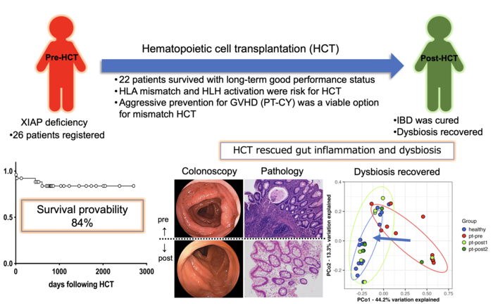 Hematopoietic cell transplantation rescues gut inflammation and dysbiosisi in patients with XIAP deficiency