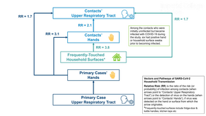 SARS-CoV-2 household transmission with relative risks infographic