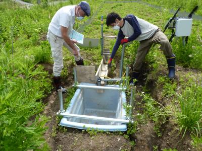 Field Work, Fukushima