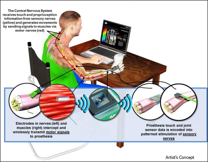 DARPA's Hand Proprioception and Touch Interfaces (HAPTIX) Program