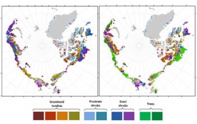 A Map of Predicted Greening of the Arctic