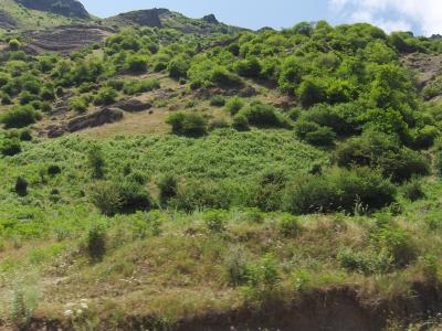 Natural Landscapes from Iran (2 of 2)