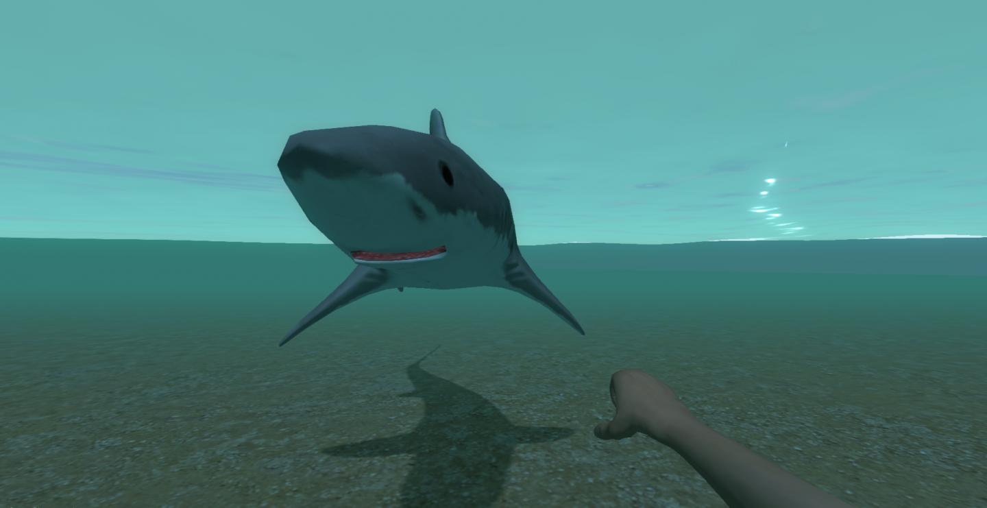 Shark Punch Screenshot