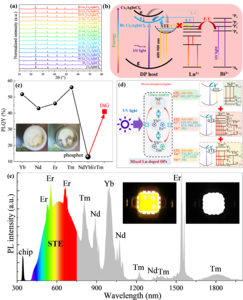 Figure 1. Structural and spectroscopic characterization of Bi/Ln:Cs2AgInCl6 DPs