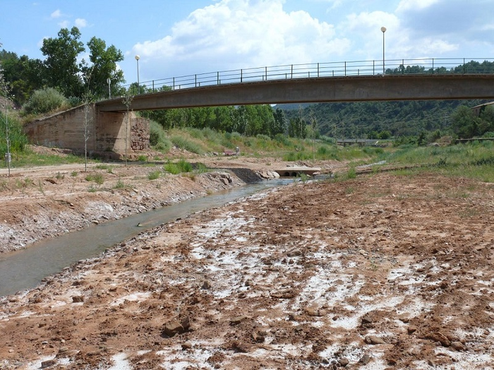 Salinización de los ecosistemas de agua dulce