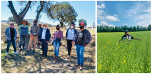 Researchers in Mexico and Canada