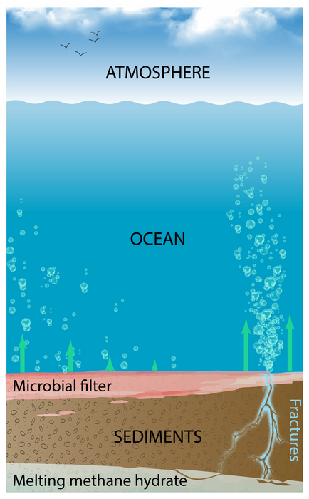 Methane leaks from sea floor