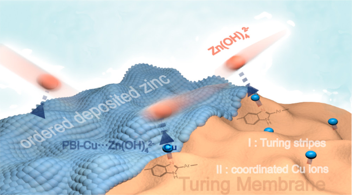 Researchers develop Turing membrane to improve performance of zinc-based batteries