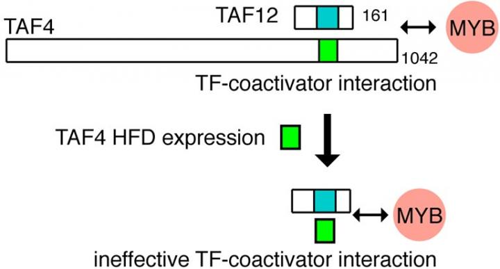 Throwing a Wrench in Cancer's Gears
