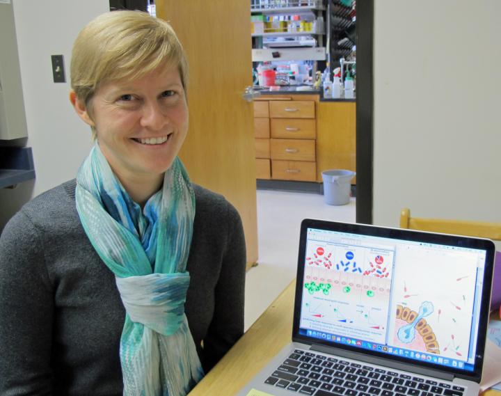 Annah S. Rolig, University of Oregon