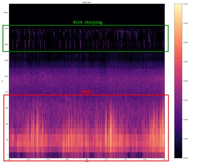 Figure 2 – Spectrogram of bird sound