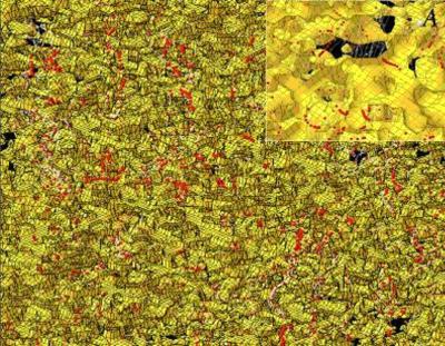 Extended Coulomb Failure Criteria for the Zipingpu Reservoir and Longmenshan Slip (2 of 2)