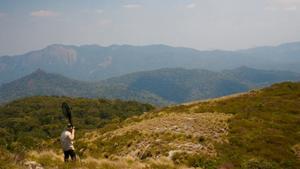 Looking over Mabu Forest