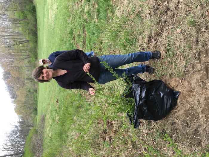 Collecting Privet Leaves