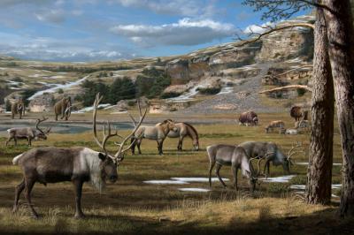 The Pleistocene Landscape