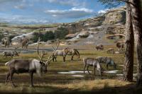 The Pleistocene Landscape