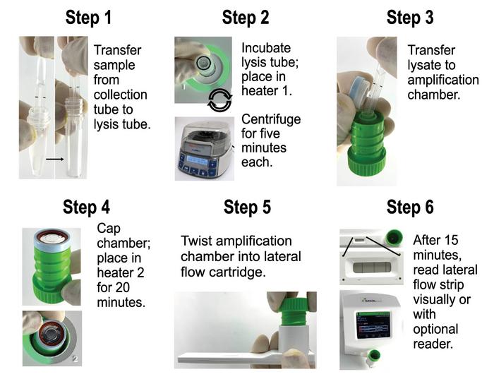 process for HPV point-of-care DNA test