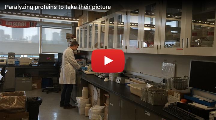 3-D Images of Megaenzymes May Lead to Improved Antibiotics