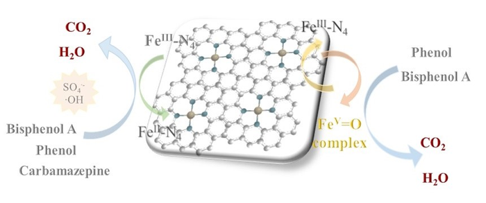 Different reaction pathways for refractory pollutants on iron SACs.