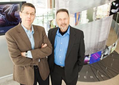 Citizen Scientist Aids Bee Research