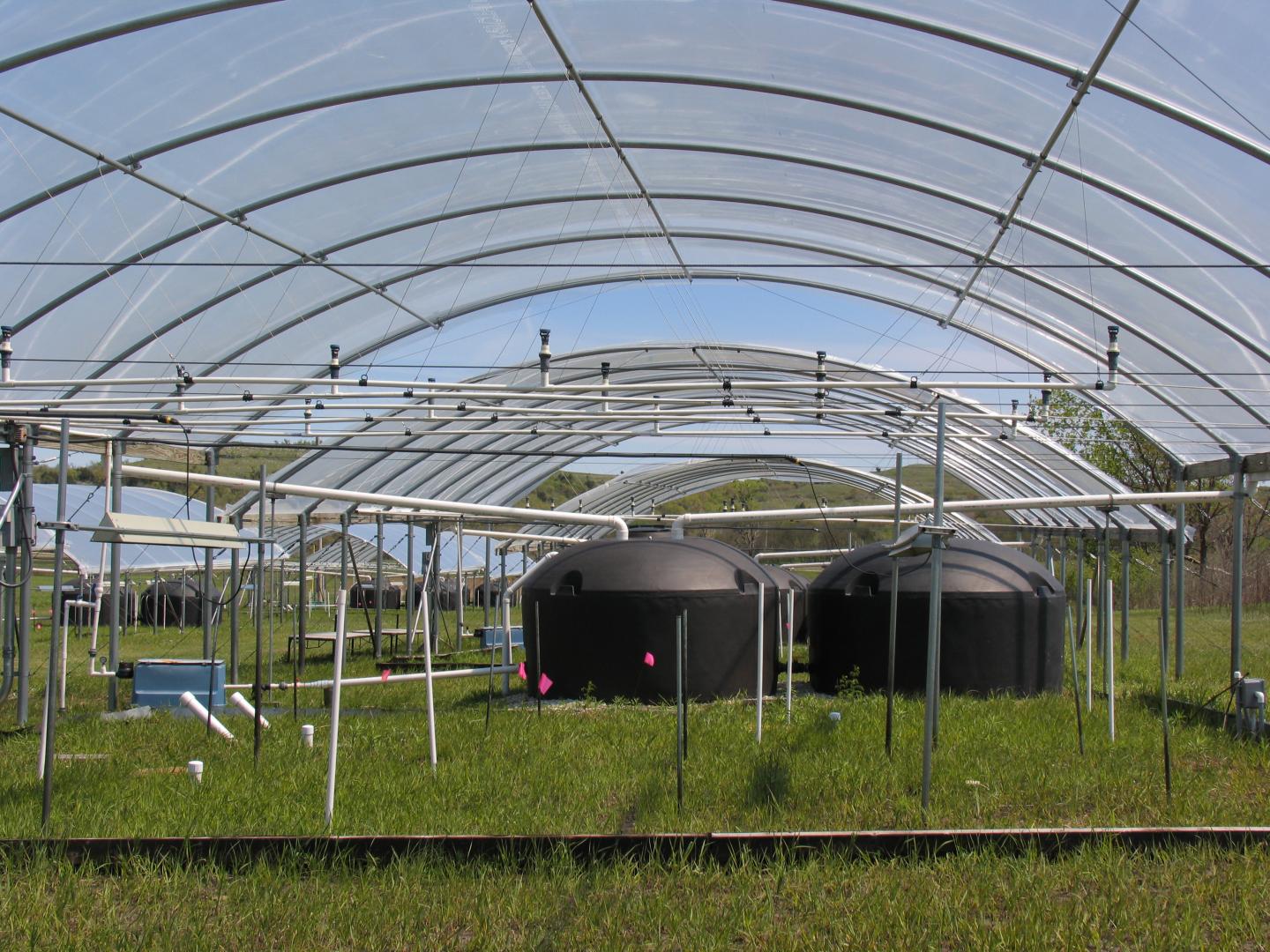 Rainfall Manipulation Plots