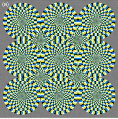 moving optical illusion circles