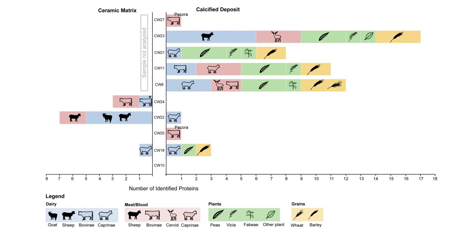 Protein Identifications