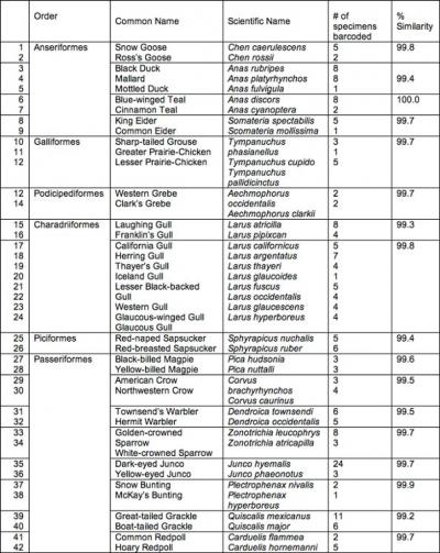 DNA lumps -- Twins, Triplets and More