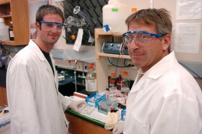 Biofilms and Chronic Wounds