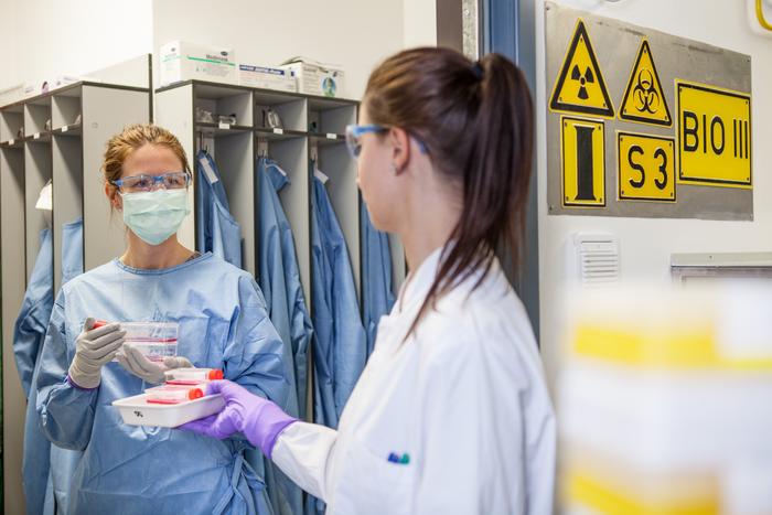 Infection biology studies up to safety level three are possible at the German Primate Center. Photo: Thomas Steuer