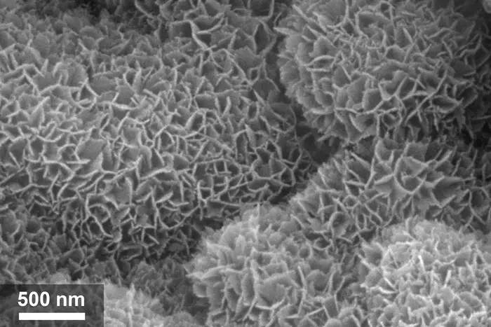 SEM image of VOC-attracting surface