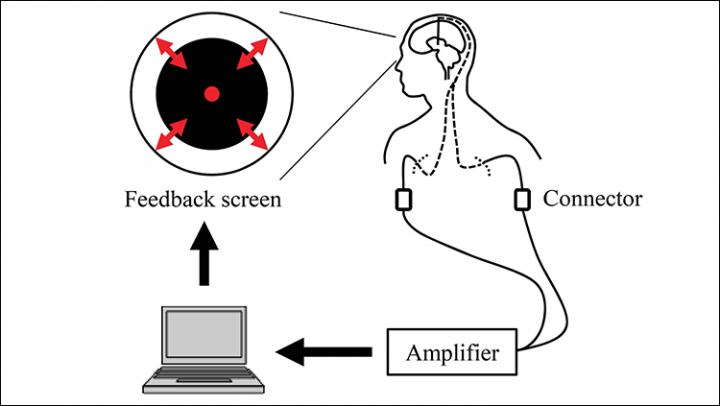 Feedback System