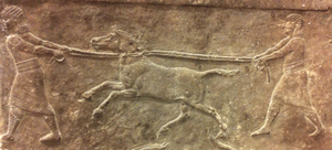 Détail du bas-relief de Ninive “hunting wild asses” (645-635 av.n.e.) conservé au British Museum, Londres