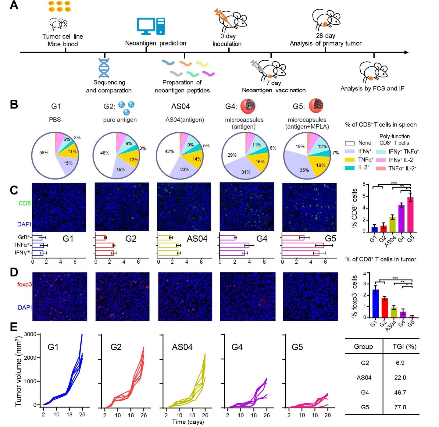 Evaluation of Vaccination Performance with 4T1 Neoantigen Peptides