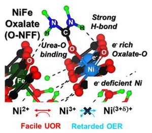 Schematic depicting the catalytic reaction devised by the team, catalyzing the urea oxidation reaction