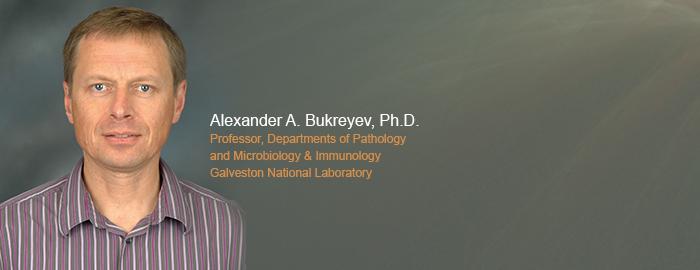 Virologist Alex Bukreyev,  	University of Texas Medical Branch at Galveston 